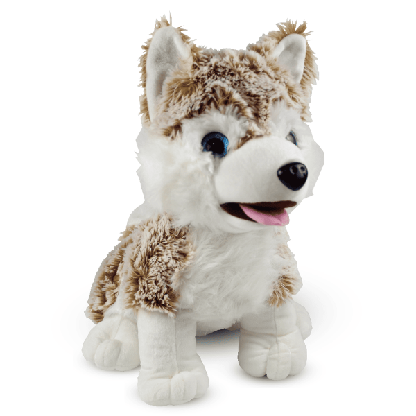 Perrito Siberiano