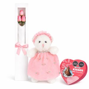 osita con chocolate y rosas rosadas