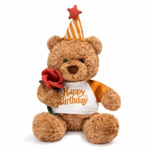 Peluche Oso de cumpleaños