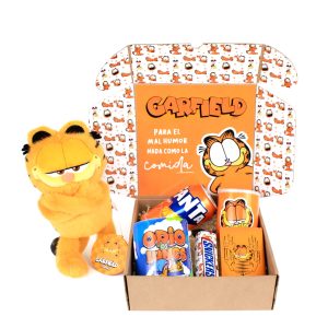 box regalo garfield