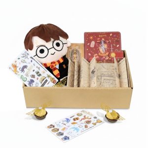 BOX DE REGALO HARRY POTTER